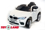 BMW X6M Mini