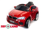 BMW X6M Mini