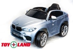 BMW X6M Mini
