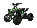 MOTAX ATV CAT 50 E-start