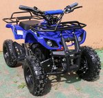 MOTAX ATV Х-16 800W 