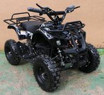 MOTAX ATV Х-16 800W 