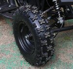MOTAX ATV Х-16 800W 