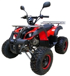 MOTAX ATV Grizlik LUX 125 cc
