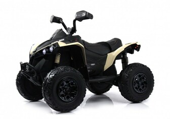 Детский квадроцикл BRP Can-Am Renegade (Y333YY) на каучуковых колесах.