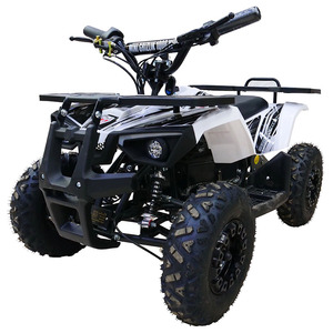 Детский электро квадроцикл GRIZLIK MINI E1000